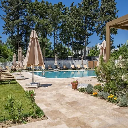 Olive Tree Αλικαρνασσός