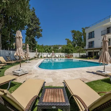 Olive Tree 4* Αλικαρνασσός