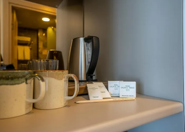 Hotell Olive Tree 4*