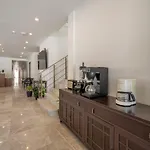 Olive Tree 博德鲁姆