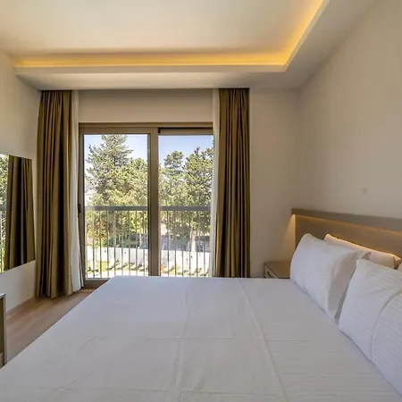 Olive Tree 4*